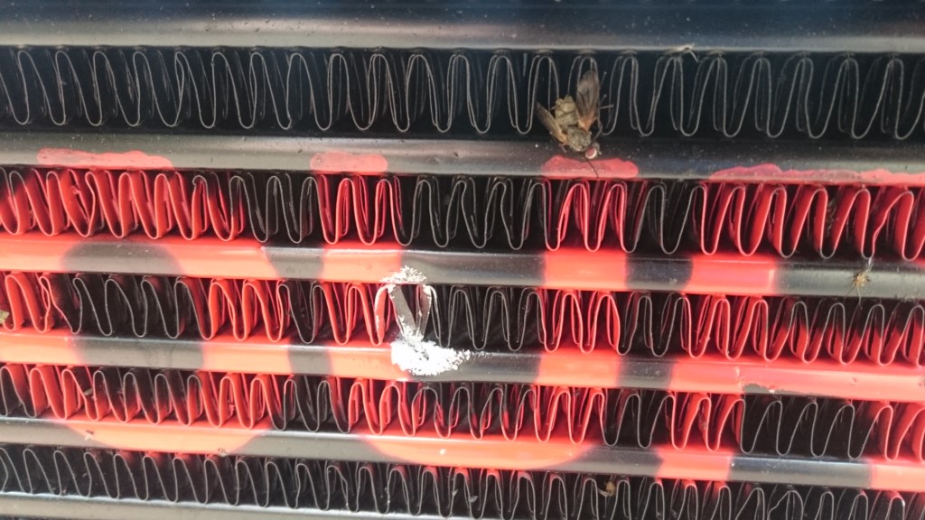 her har det tydeligvis vært en krokjævel på besøk