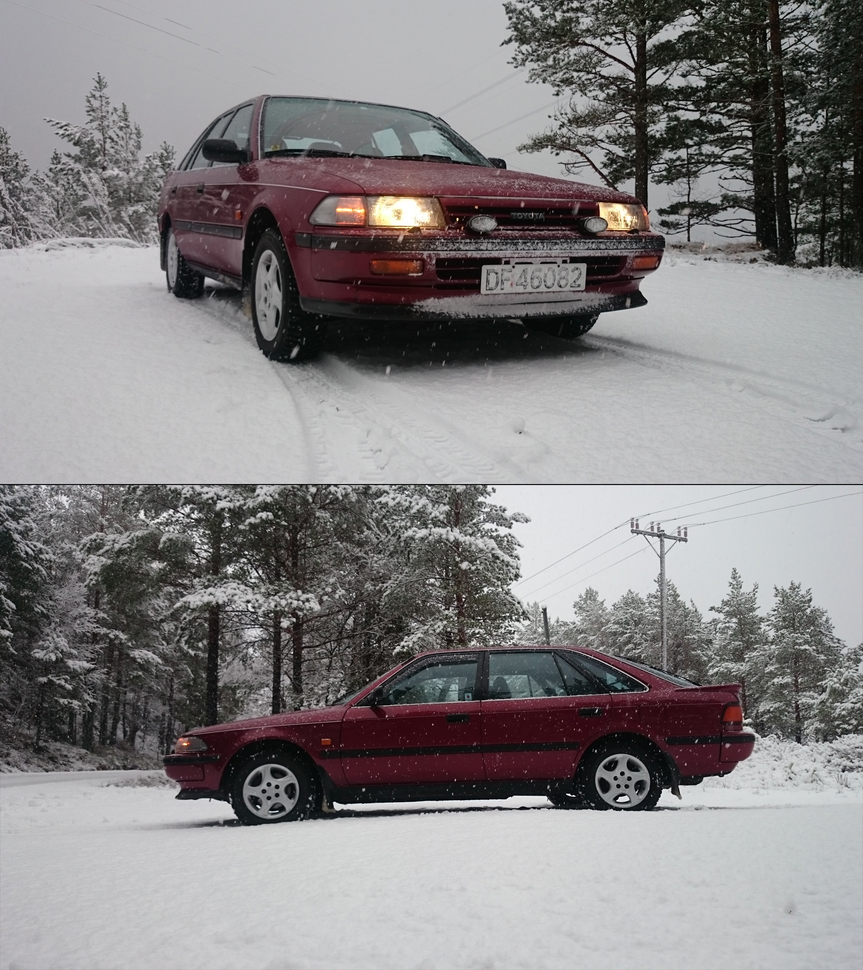 Så glad for nye dempere og luftetur i snøen at den fråder rundt kjeften!