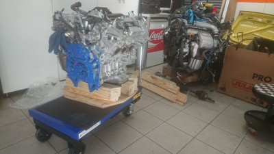 DSC_0184.JPG