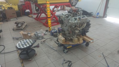 DSC_0203.JPG