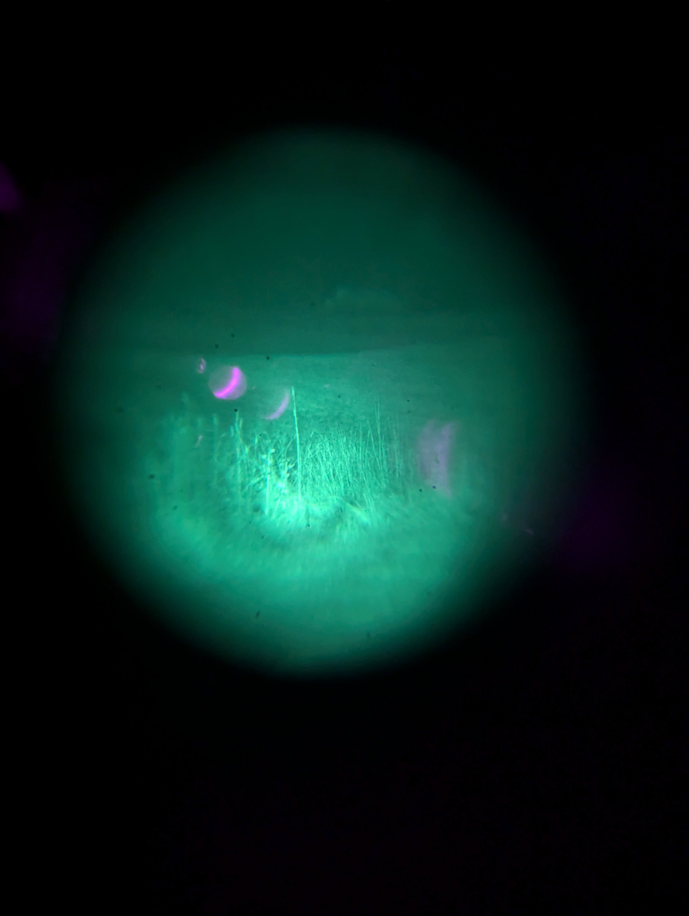 PXL_20240930_201955578.jpg