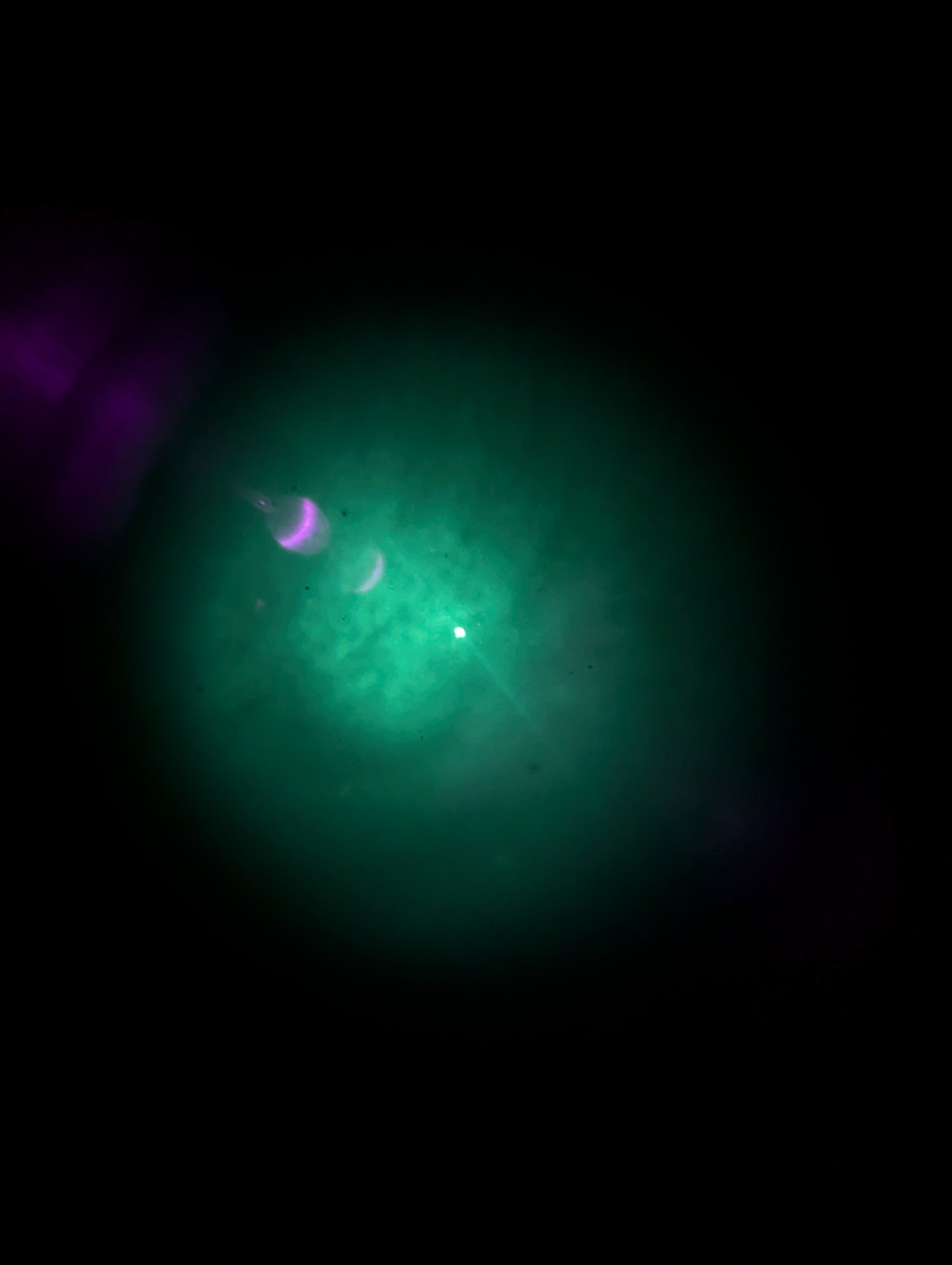 PXL_20240930_214114635.jpg