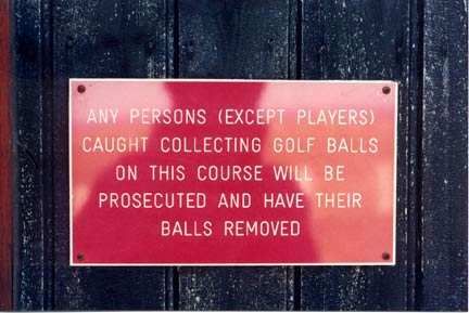 balls removed.jpg