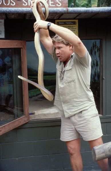 steve_snake-600.jpg