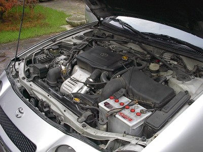 IM007578.JPG