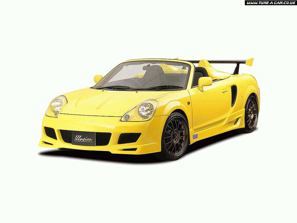 yellowmrs1.jpg