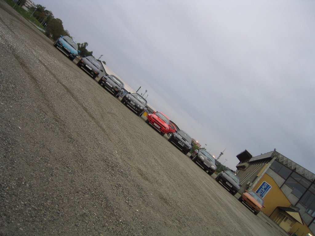 IMG_1241.jpg
