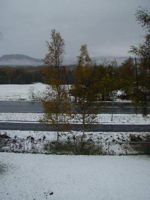snow11.jpg