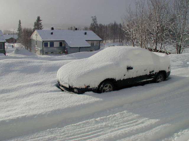 snow09.jpg
