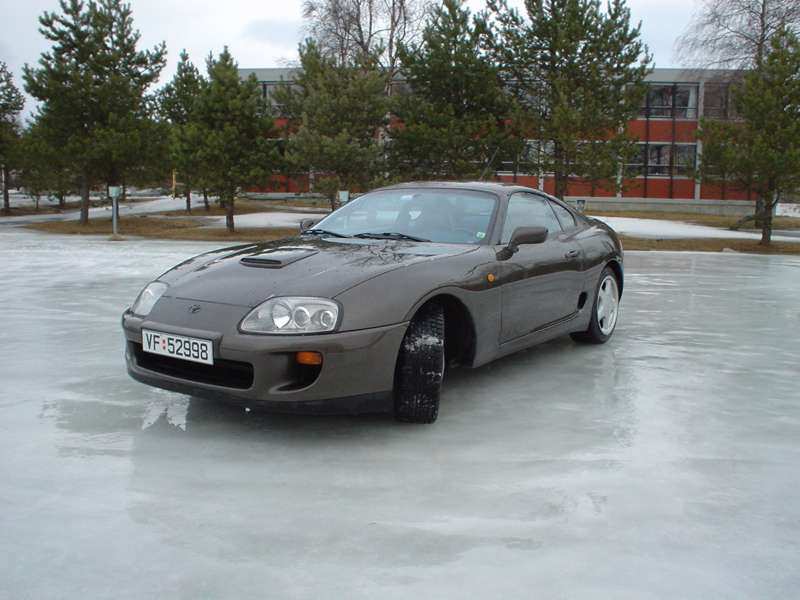 Bambi on ice.jpg