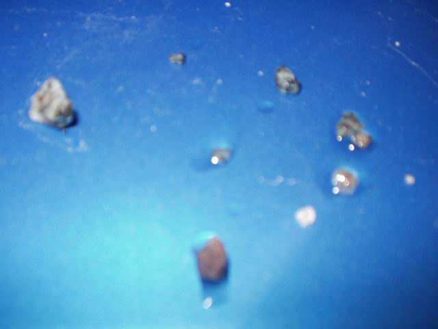 P1010027.JPG