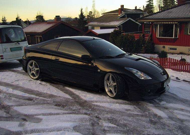 wingless2.jpg