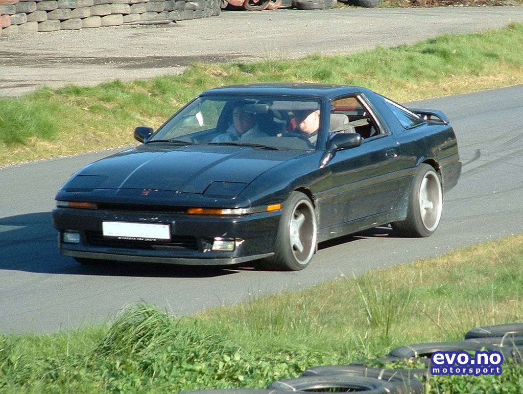 turbotrille1024.jpg