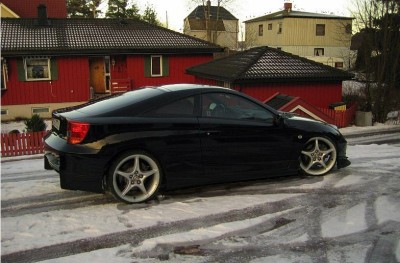 wingless2.jpg