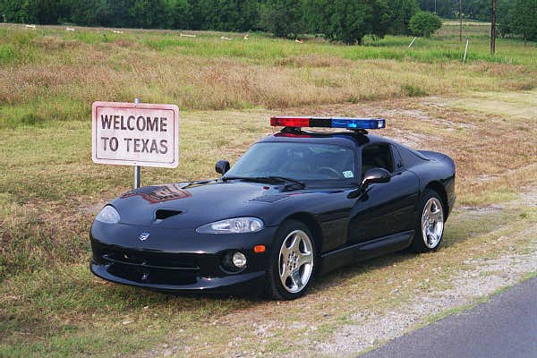 Viper_Police.jpeg