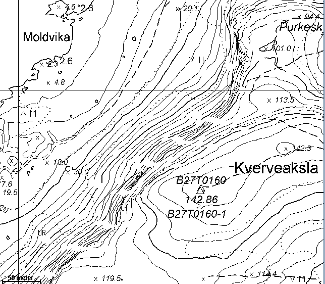ellingsøya-zoom.gif