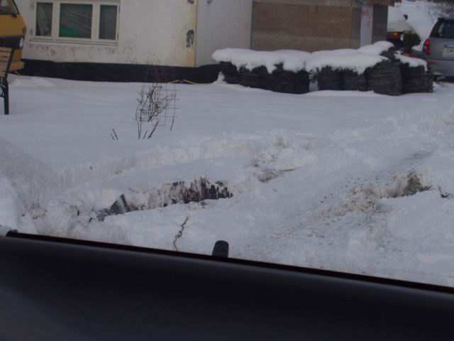 Det var en gang et blomsterbedd........ :p