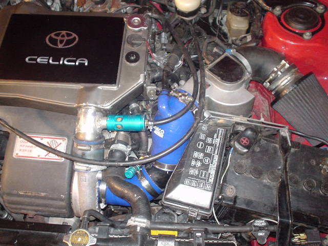 polert 003.jpg