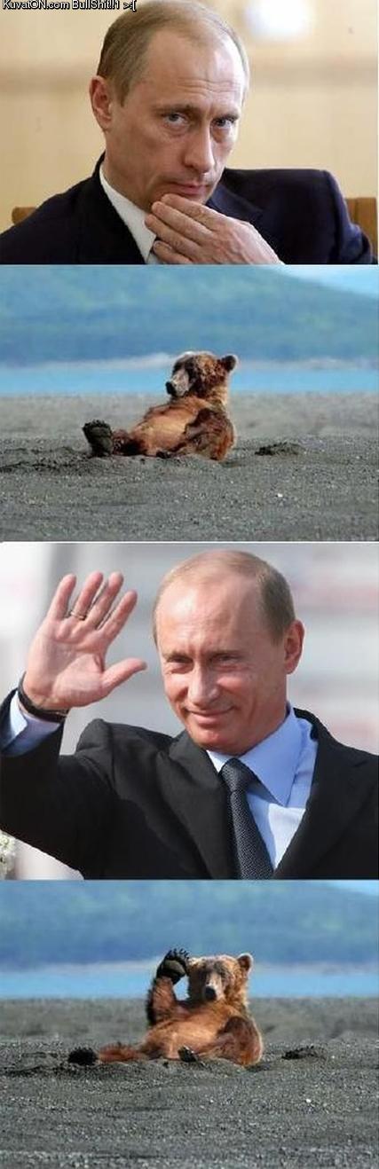 putin_hai.jpg